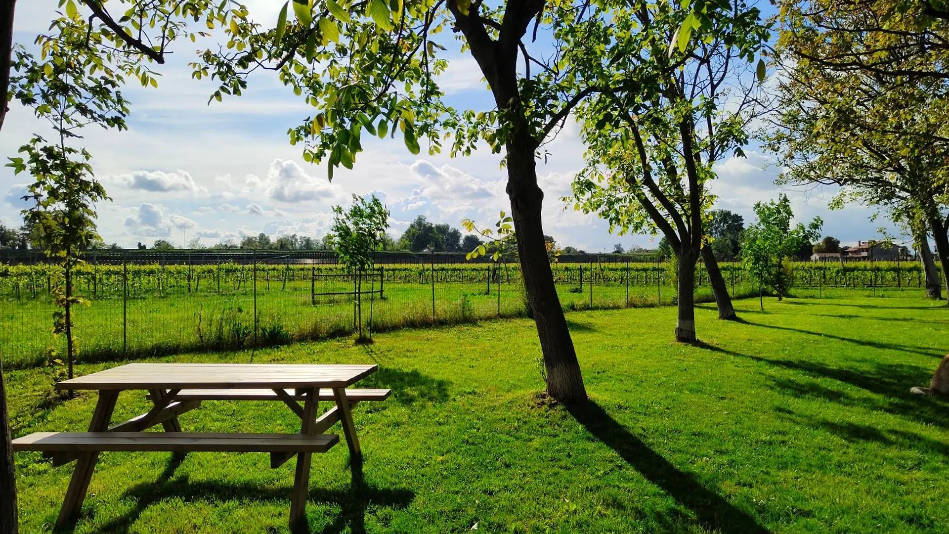 Appartamento Yard 151 Noventa di Piave