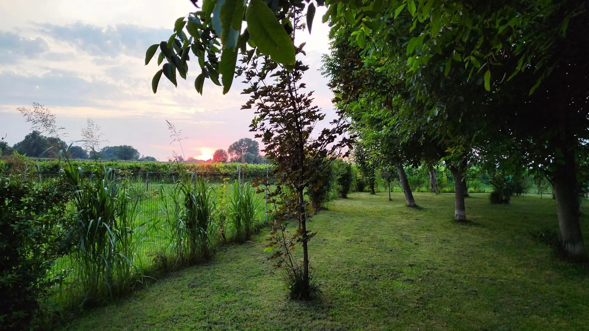 Appartamento Yard 151 Noventa di Piave